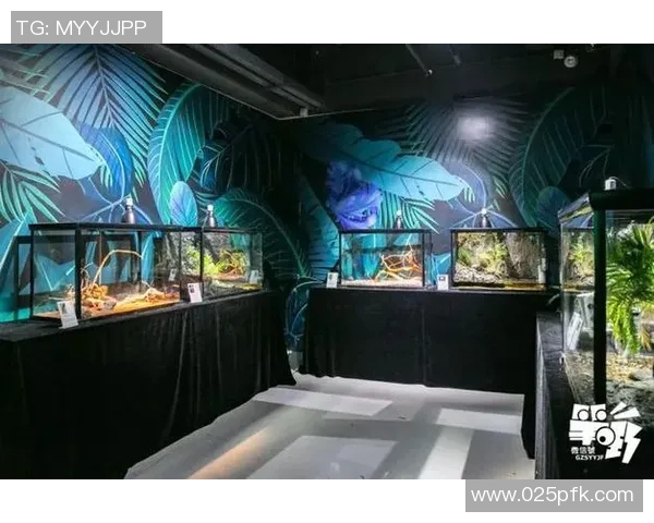 足球明星与怪兽的奇幻碰撞精彩图片大全集尽在这里等你来探索